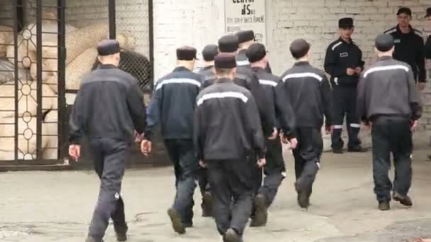 Prisioneiros que entram no edifício — Vídeo de Stock