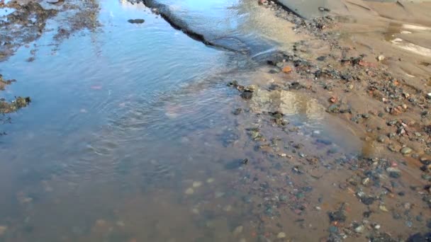 Вода в городе — стоковое видео