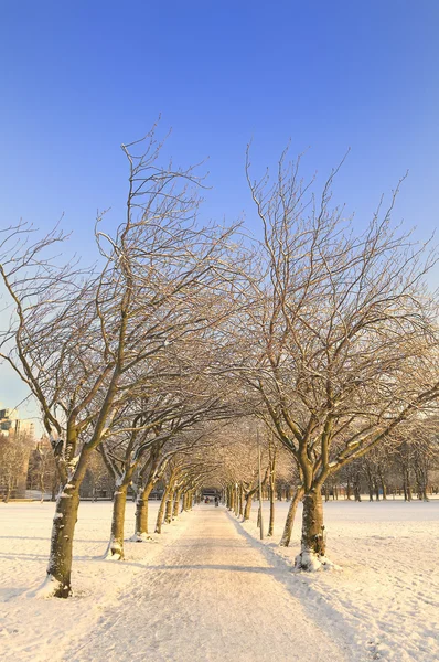 Snowy pathway in the park, Edinburgh, Scotland — Stock Photo, Image