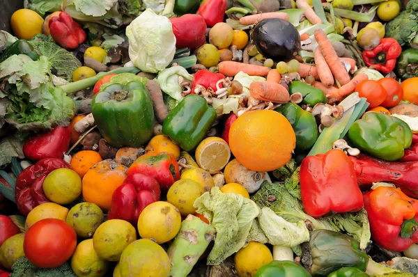 Resíduos alimentares — Fotografia de Stock