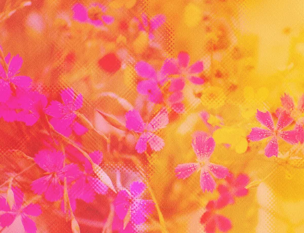 Beautiful floral pattern on pink texture — Stock Photo, Image