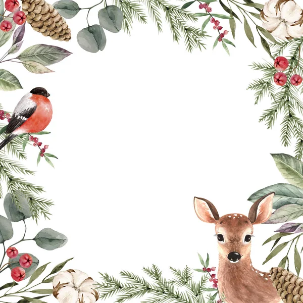 Watercolor Frame Fir Branches Plants Bird Deer Christmas Decor Hand — Stock Photo, Image
