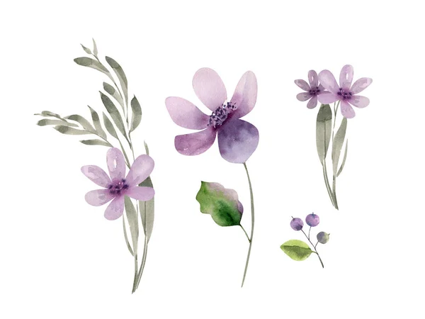 Набор Нежных Акварельных Фиолетовых Цветов Раскрашенных Вручную — стоковое фото