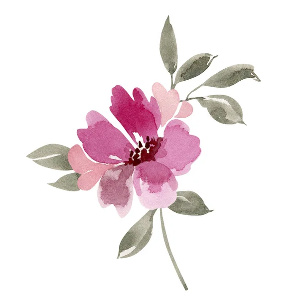 Нежный Розовый Цветок Акварели Ручная Роспись Карт Дизайна — стоковое фото