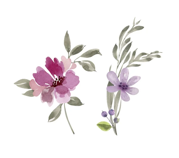 Набор Нежных Акварельных Фиолетовых Розовых Цветов Раскрашенных Вручную — стоковое фото