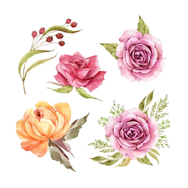 Zestaw Akwarelowych Ilustracji Kwiatów Róży Białym Tle Ręcznie Malowane Projektowania — Zdjęcie stockowe
