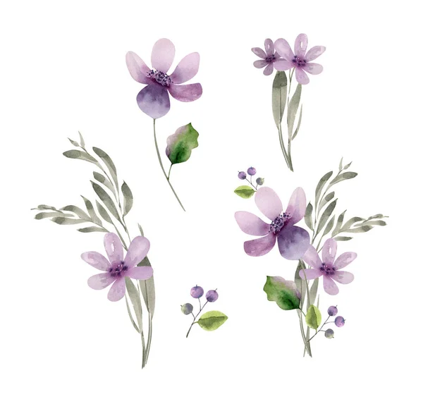 Набор Нежных Акварельных Фиолетовых Цветов Раскрашенных Вручную — стоковое фото