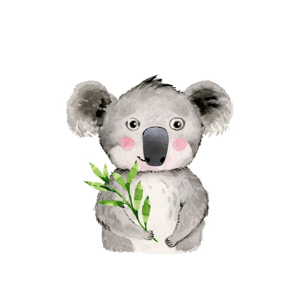 Watercolor Illustration Cute Koala Green Plant Branch Drawing Cartoon Style — Stock Photo, Image