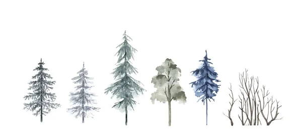 木や森の水彩画のセットです 森林景観 手描き — ストック写真