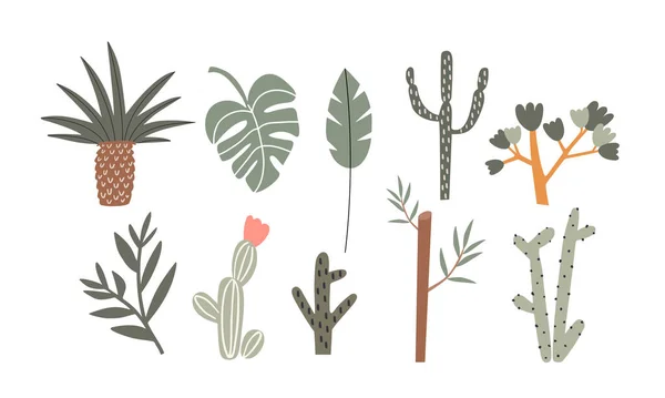 Ensemble Illustrations Vectorielles Arbres Plantes Sur Fond Blanc — Image vectorielle