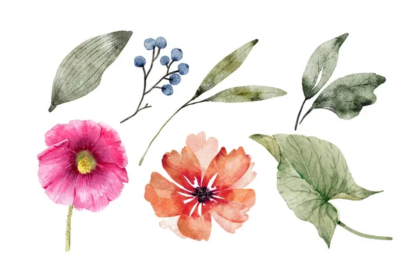 Set Delicate Watercolor Plant Flowers Leaves Hand Painted — Stock Photo, Image