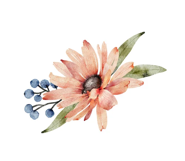 Bouquet Aquarela Com Flor Camomila Rosa Fundo Branco Pintados Mão — Fotografia de Stock