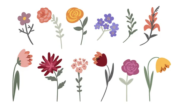 Vector Conjunto Flores Jardín Multicolores Sobre Fondo Claro — Archivo Imágenes Vectoriales