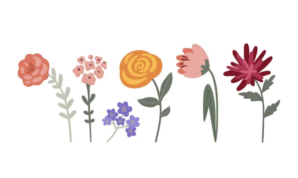 Vector Conjunto Flores Jardín Multicolores Sobre Fondo Claro — Archivo Imágenes Vectoriales