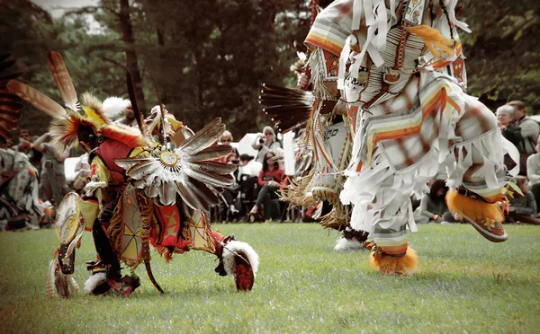 Native American Powwow Rechtenvrije Stockafbeeldingen