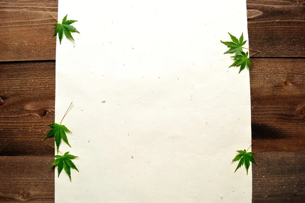 Green Japanese maple leaves on Japanese paper