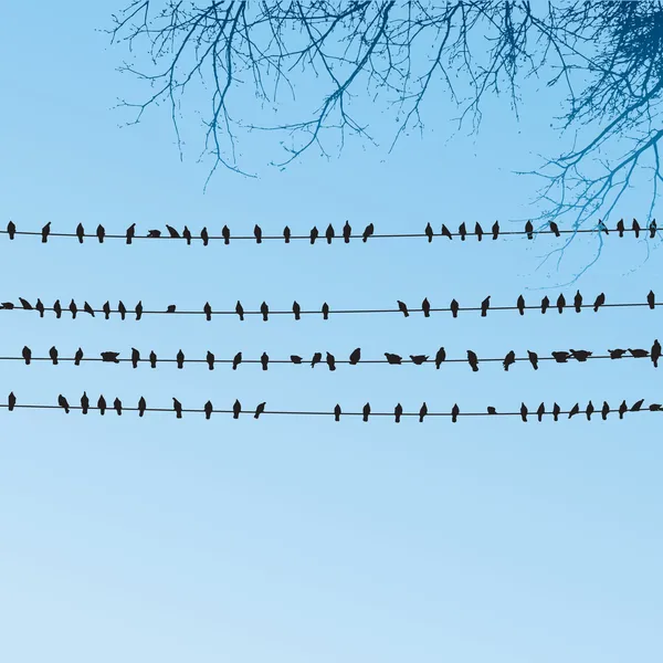 Vögel sitzen an Drähten — Stockvektor