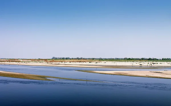 Landschap met rivier — Stockfoto