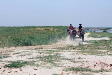 bir gharri sürme bilinmeyen Hint