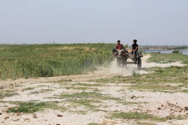 bir gharri sürme bilinmeyen Hint