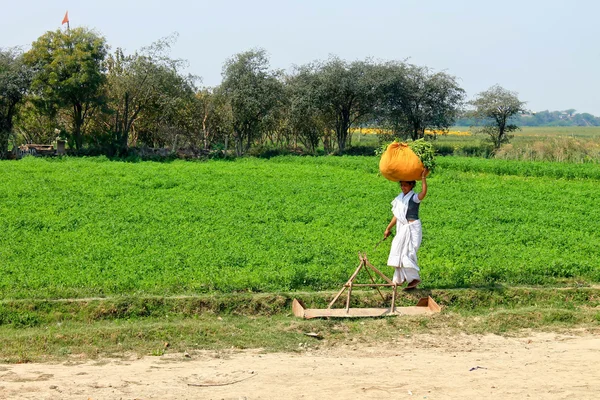 Mujer india — Foto de Stock