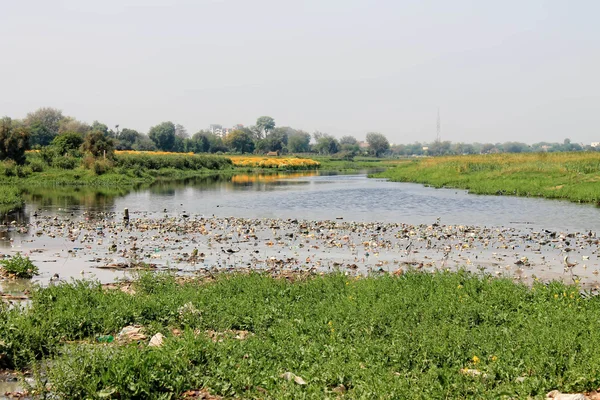 Paesaggio con fiume — Foto Stock