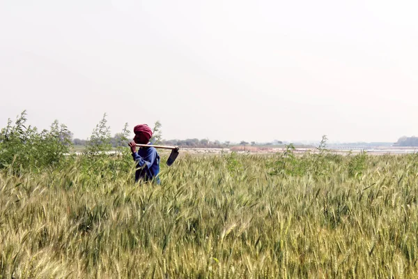 Yamuna — Fotografia de Stock