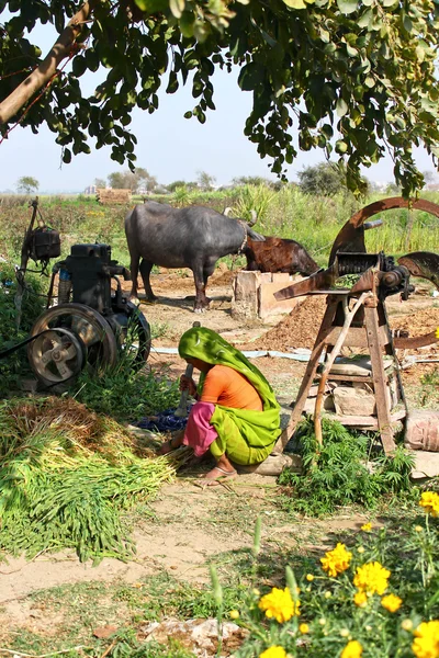 Hintli kadın — Stok fotoğraf