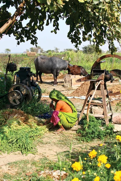 Indian woman — Stock Photo, Image