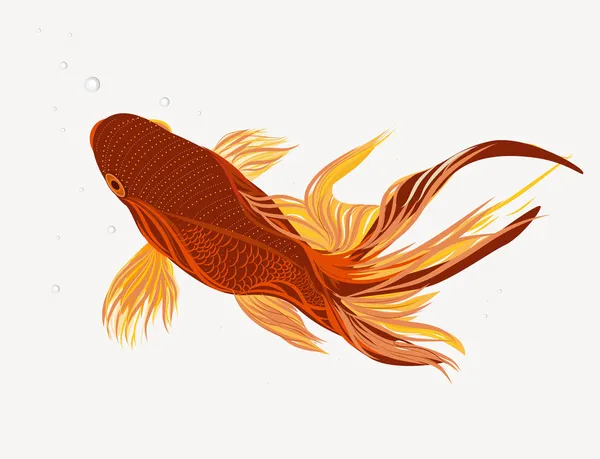 Peces — Vector de stock