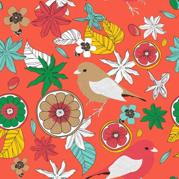 Fruits et oiseaux — Image vectorielle