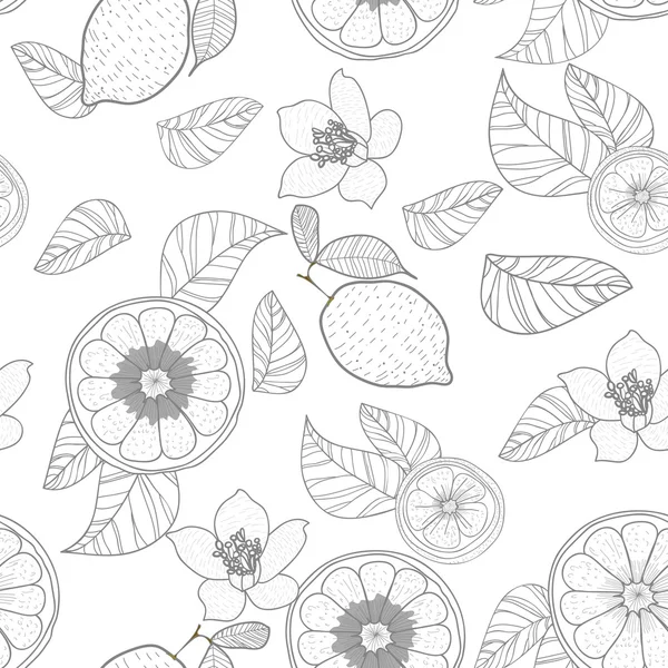 Limones con hojas — Vector de stock