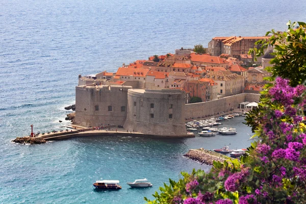 Dubrovnik Fortress — Stock Photo, Image