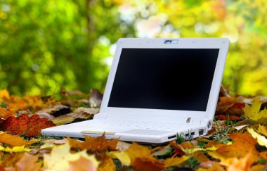 automn sahnede beyaz dizüstü bilgisayar
