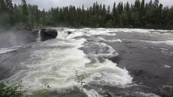 Waterval in Zweden — Stockvideo