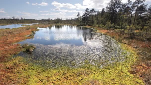 Outono vista lago — Vídeo de Stock