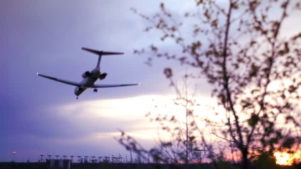 Flugzeug kommt zur Landung — Stockvideo