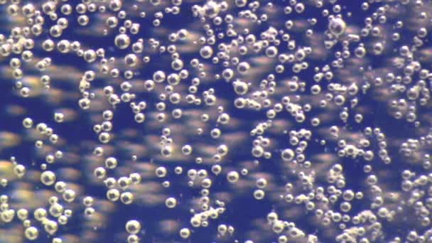 Burbujas de agua — Vídeo de stock