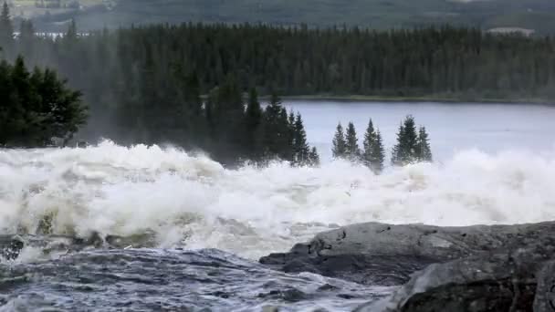 Waterfall in Sweden — Stock Video