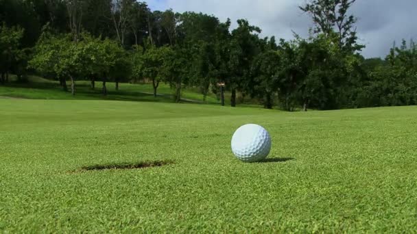 Een vreemdgaan golfer — Stockvideo