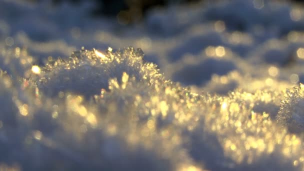 Nieve destacada en el suelo — Vídeos de Stock