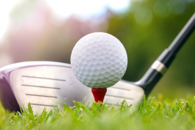 Golf sopası ve top çimenlerde.