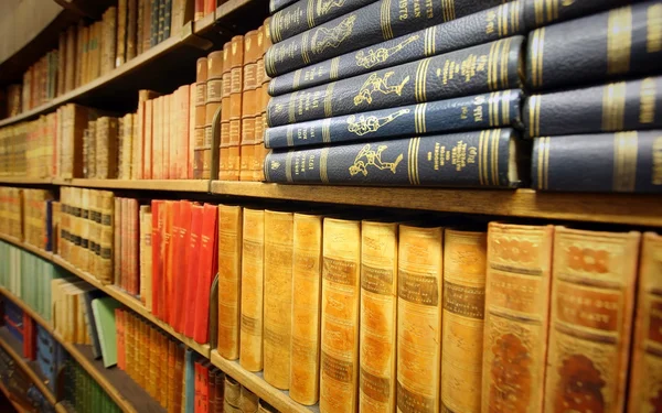 Library — Stock Photo, Image