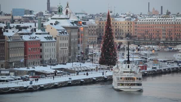 Вид Стокгольма зимой, Швеция — стоковое видео