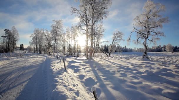 Paysage hivernal