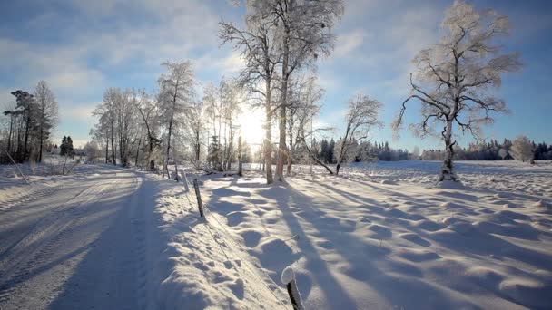 Paisagem inverno — Vídeo de Stock