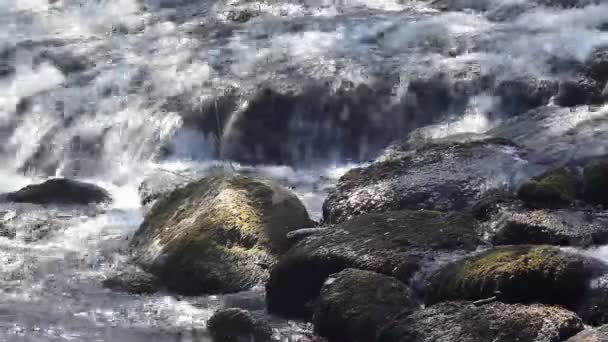 Vista sul torrente di montagna — Video Stock