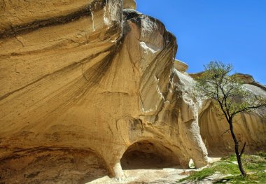 Kapadokya