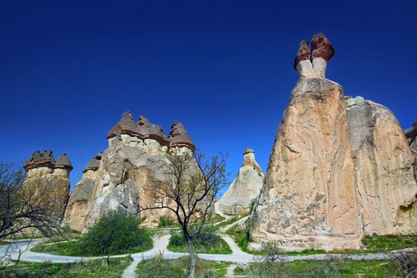 Cappodocia — Photo