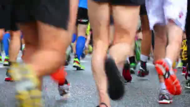Corredores de maratón — Vídeo de stock